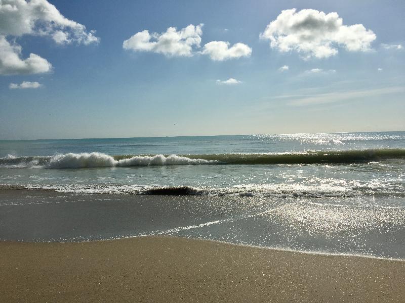 Hollywood Beach Marriott Εξωτερικό φωτογραφία